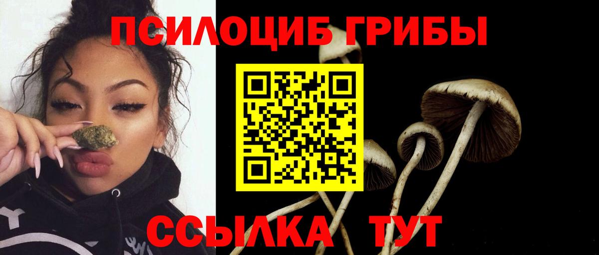 Галлюциногенные грибы GOLDEN TEACHER  Вход с VPN  Галлюциногенные грибы Magic Shrooms  Кировск 